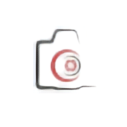 PicDriver